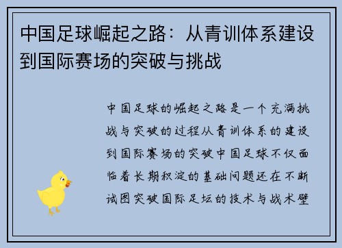 中国足球崛起之路:从青训体系建设到国际赛场的突破与挑战