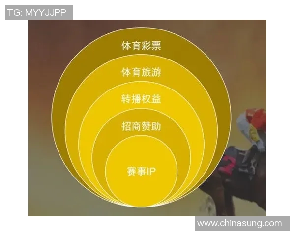 以体育公共事务管理为核心推动社会体育事业高质量发展的路径探索