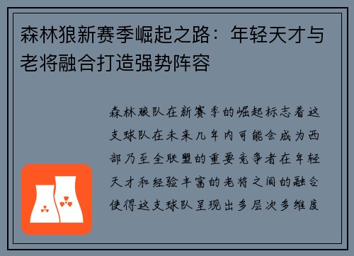 森林狼新赛季崛起之路：年轻天才与老将融合打造强势阵容