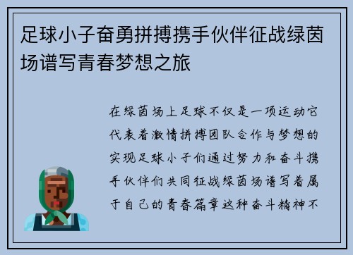 足球小子奋勇拼搏携手伙伴征战绿茵场谱写青春梦想之旅