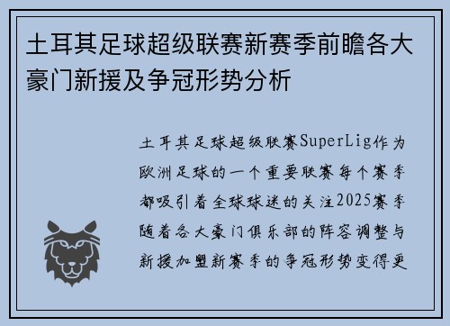 土耳其足球超级联赛新赛季前瞻各大豪门新援及争冠形势分析 土耳其足球超级联赛新赛季前瞻各大豪门新援及争冠形势分析