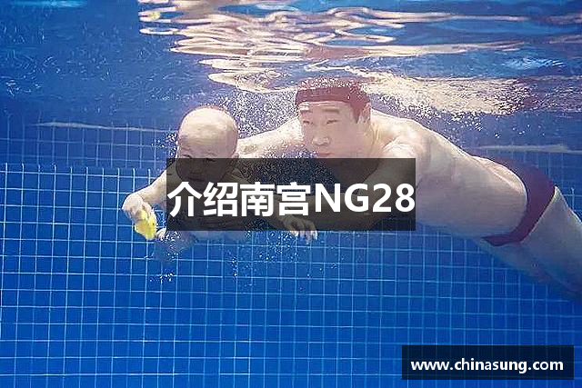介绍南宫NG28